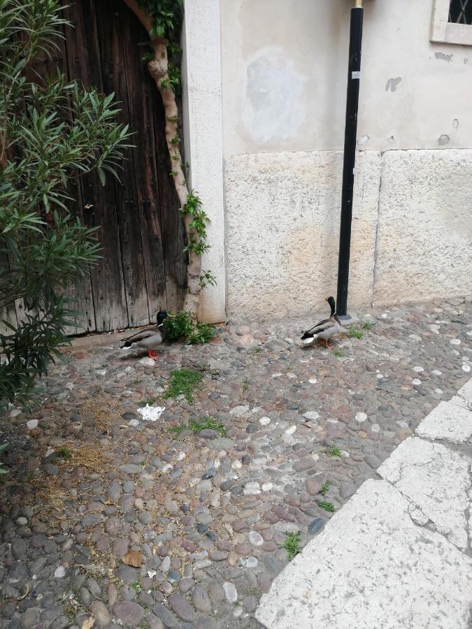 Verona Goddess House מראה חיצוני תמונה