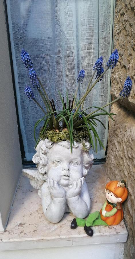 Verona Goddess House מראה חיצוני תמונה